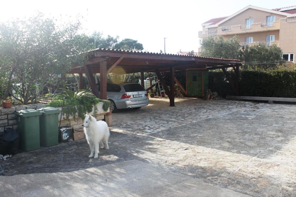 Summer House In Novalja Exterior foto